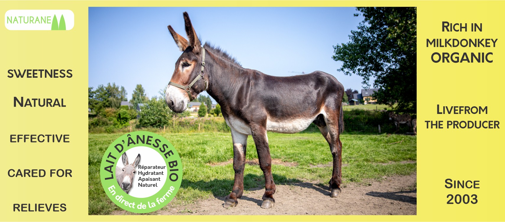 Beauty products with donkey milk